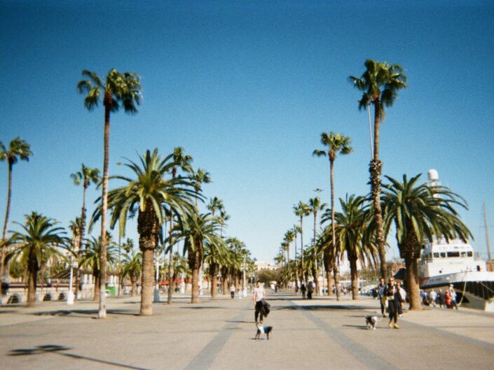 Barcelona 2026